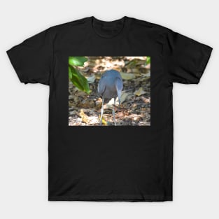 Death from Above T-Shirt